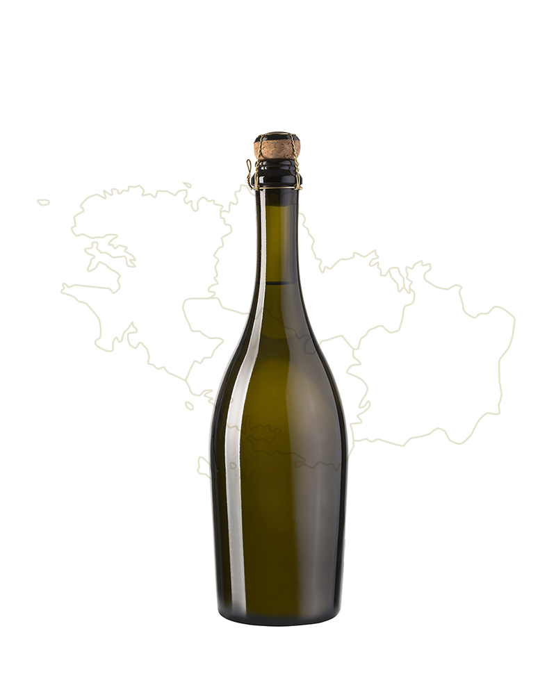 vino1