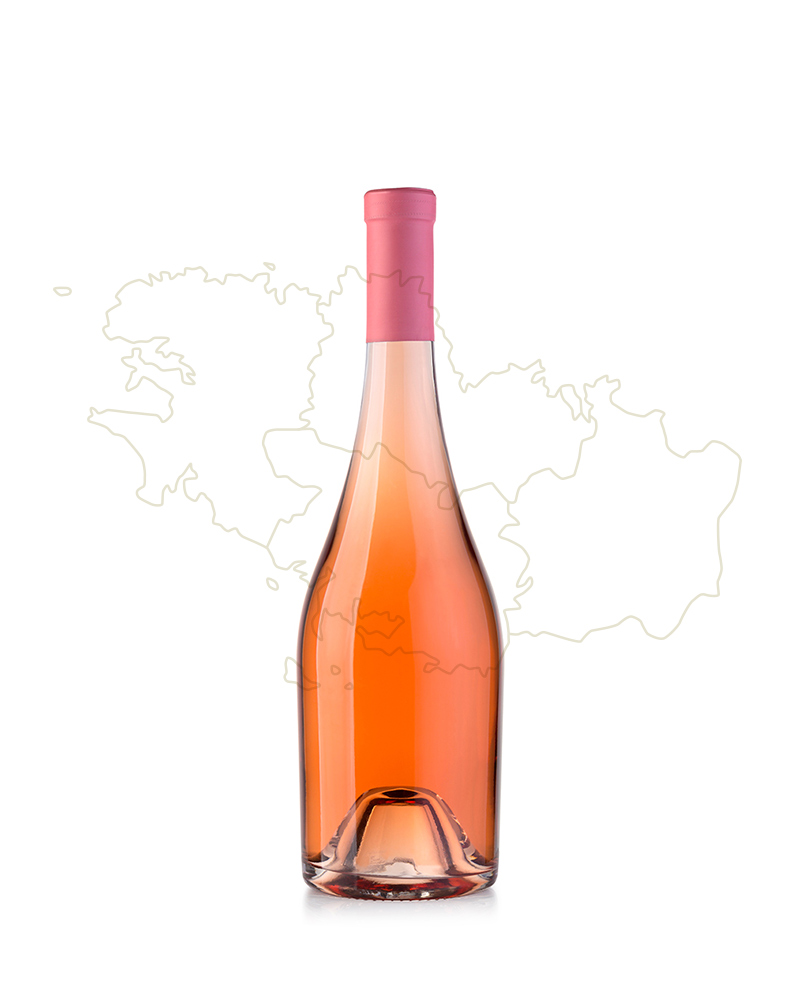 vino3